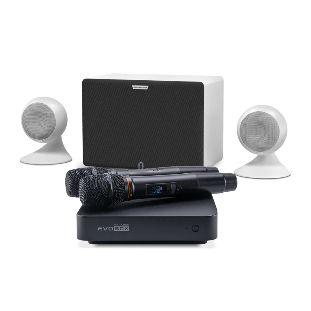 караоке-комплект EVOBOX Classic + EvoSound Sphere 2.1 в Волгоградской области
